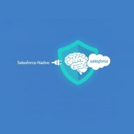 AI Without the Risk: How a Salesforce-Native Platform Delivers Secure Advertising Intelligence IA senza rischi: come una piattaforma Salesforce offre informazioni pubblicitarie sicure